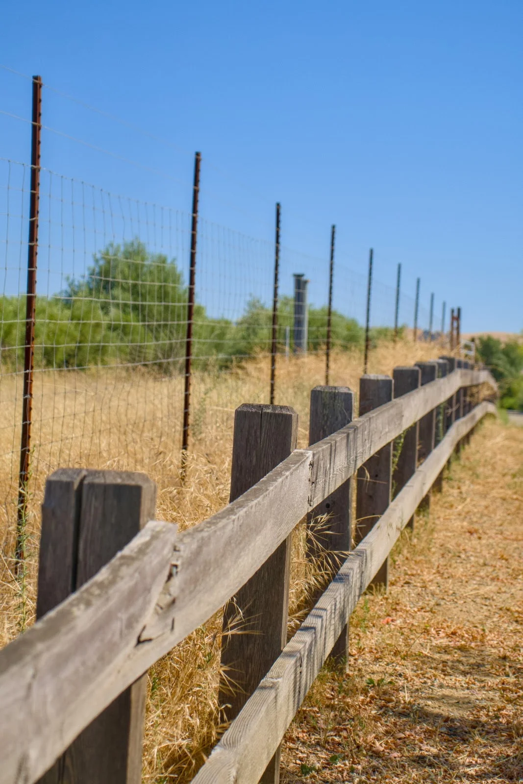 Park Fencing Ideas